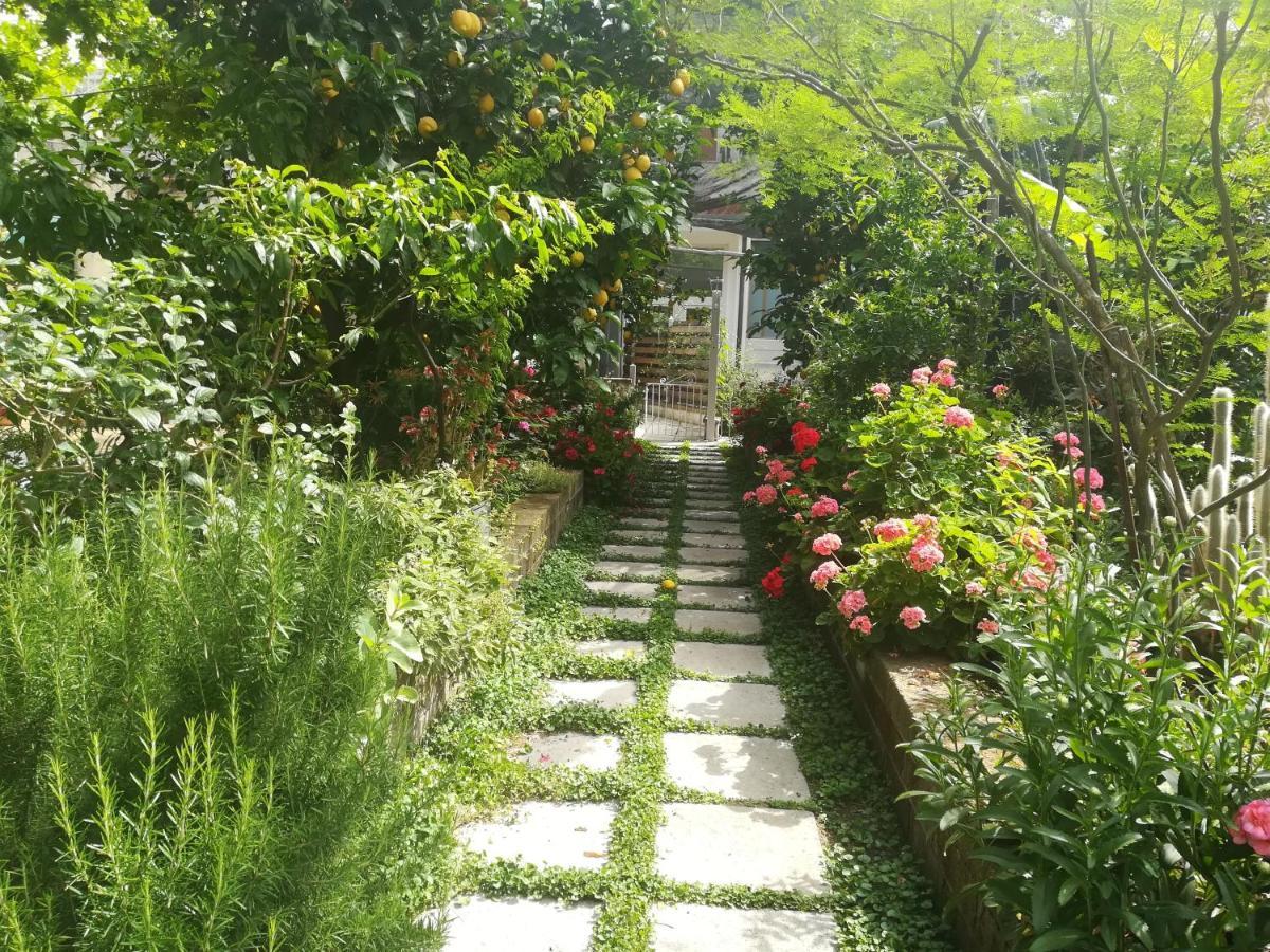Bed and Breakfast Il Vialetto Dei Limoni Vico Equense Exteriér fotografie
