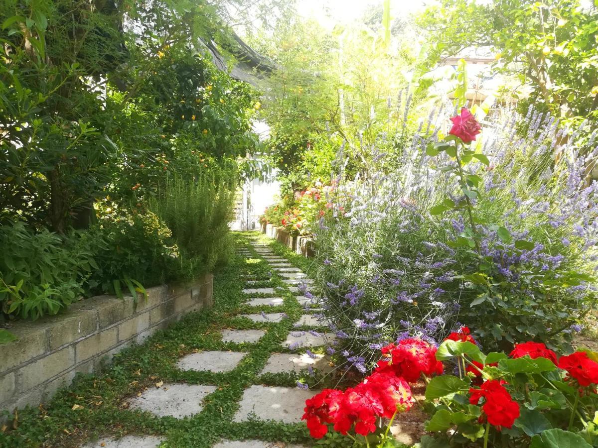 Bed and Breakfast Il Vialetto Dei Limoni Vico Equense Exteriér fotografie